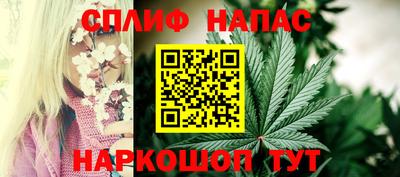 наркотики Будённовск