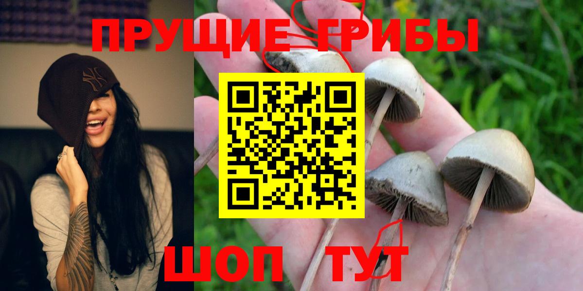 Псилоцибиновые грибы прущие грибы  Вход с VPN  Слободской 